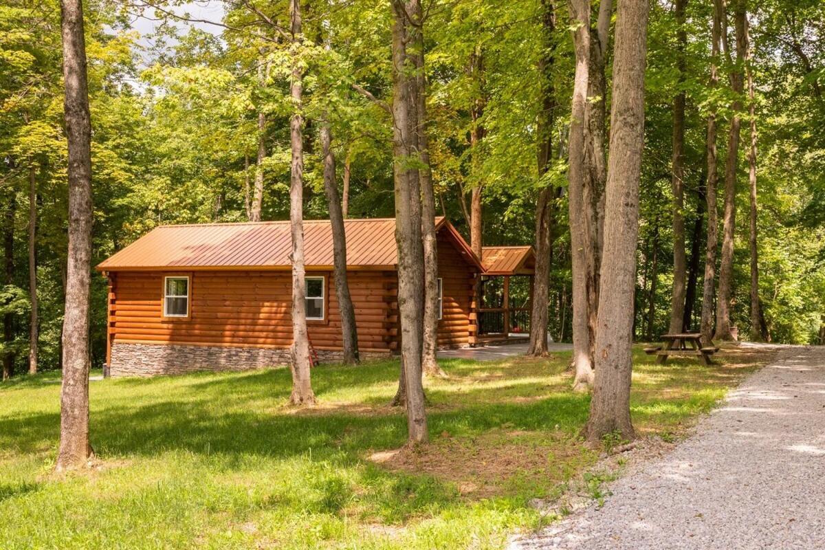 Secluded Wooded Cabin Near The Hocking Hills New Straitsville Exterior photo